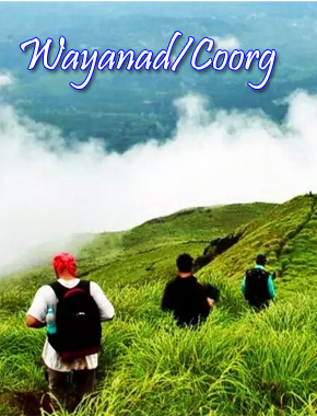 1 wayanad copy